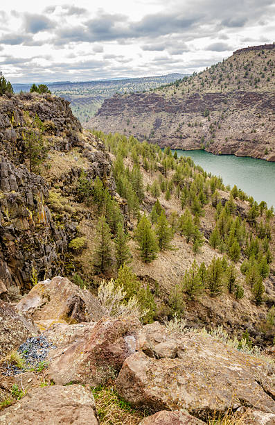 istock The Cove Palisades State Park 2212343975