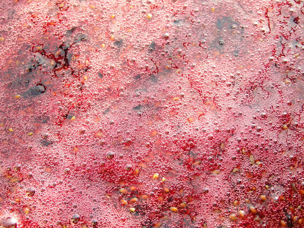 Red abstract background. Black currant jam Texture. Dark Red Berry Jam Flat Background.