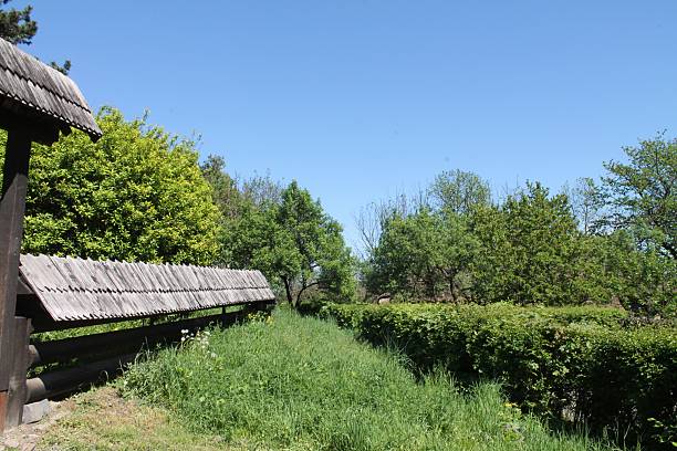 A picturesque garden unfolds under a bright blue sky, with verdant foliage on either side and a rustic wooden fence enhancing the serene atmosphere.
