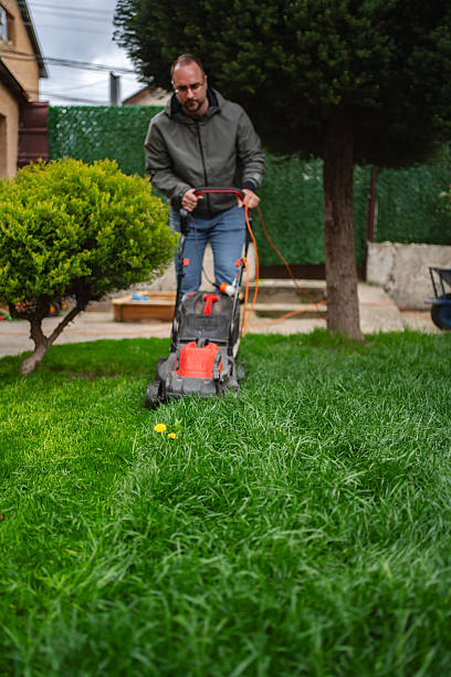 istock Man using a lawnmower to cut the grass in his garden 2212345608