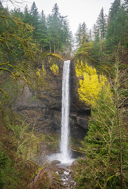 istock Latourell Falls along the Columbia River Gorge, Oregon 2212346509