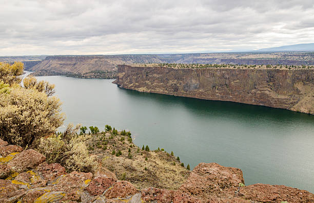 istock The Cove Palisades State Park 2212346800