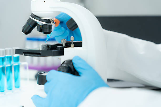 istock Scientist analyze biochemical samples in advanced scientific laboratory. Medical professional use microscope look microbiological developmental of viral. Biotechnology research in science lab. 2212347561