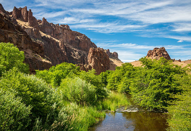 istock Succor Creek at Succor Creek State Natural Area 2212349187