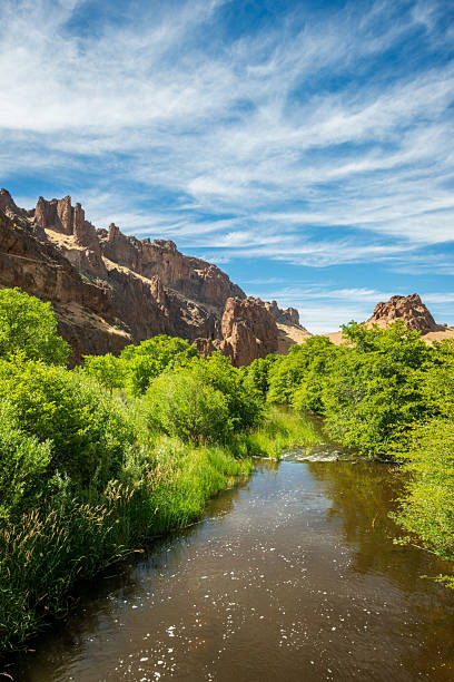 istock Succor Creek at Succor Creek State Natural Area 2212349471