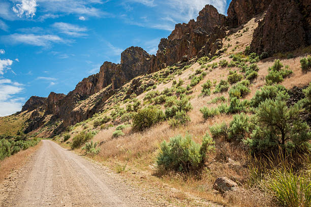 Dirt Road at Succor Creek State Natural Area, Oregon
