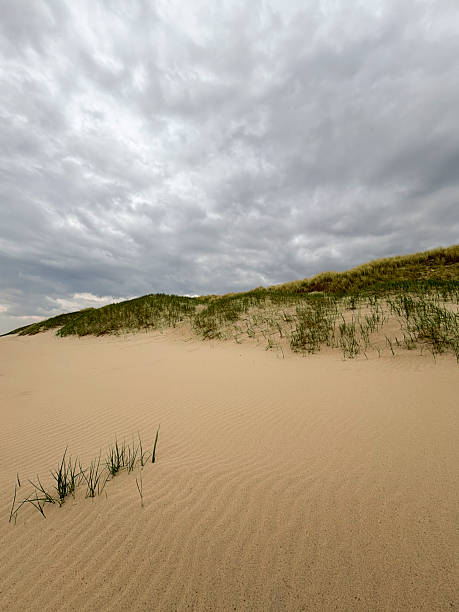 Storm clouds over the North Sea beach and dunes during a springtime day in North Holland near Callantsoog.