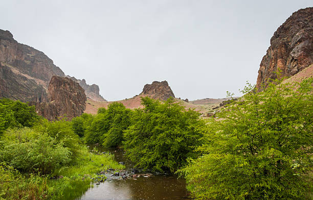 istock Succor Creek at Succor Creek State Natural Area 2212350292