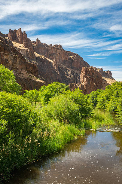 Succor Creek at Succor Creek State Natural Area