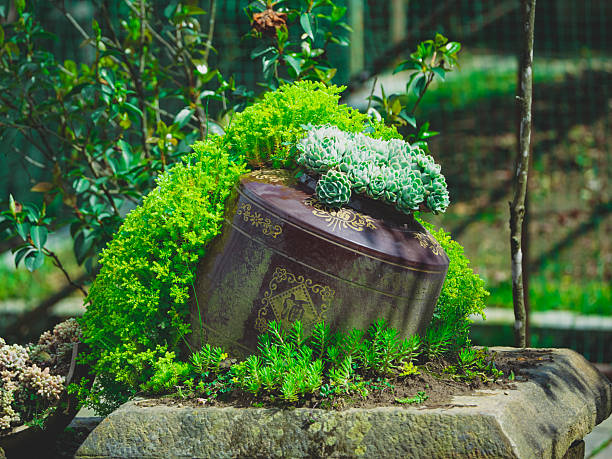An overhead view captures a thriving rooftop container garden with a rich mix of succulents, herbs, and potted greens arranged organically on a concrete surface. The scene conveys a sense of sustainable living, mindfulness, and the quiet joy of urban gardening.