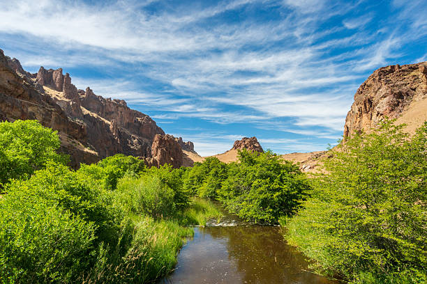 istock Succor Creek at Succor Creek State Natural Area 2212351945