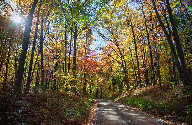 istock Road through Allegheny National Forest in Pennsylvania 2212353257