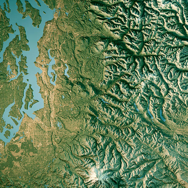 istock King County WA Satellite Topographic Map 3D Render True Color 2212355002