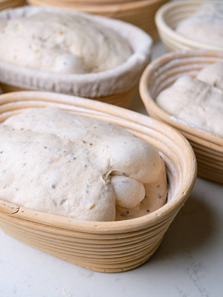 Sourdough Bread in Proofing basket, bannetons baskets for retarding raw dough before baking.