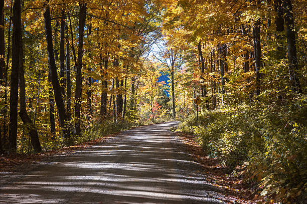 istock Road through Allegheny National Forest in Pennsylvania 2212356641
