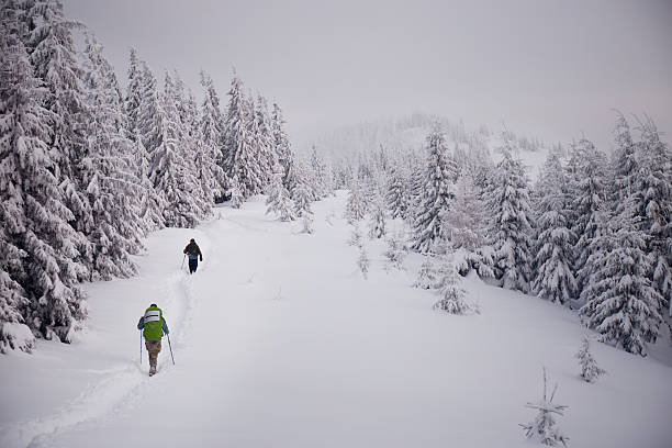 istock Snow-covered landscape featuring hikers trekking through a winter forest in a remote mountainous area. Carpathian Mountains, Ukraine 2212365751
