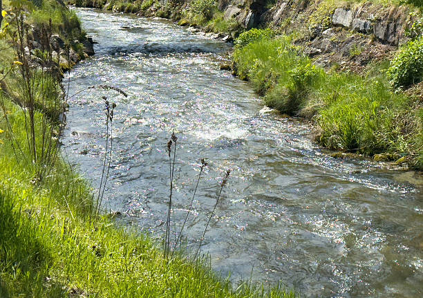A small, fast-flowing stream rushes over moss-covered rocks, creating a dynamic and natural scene. The surrounding landscape is rich with autumn leaves in shades of brown and orange, contrasting with the vibrant green moss on the rocks. The setting appears peaceful yet full of movement, with the water forming white foamy currents as it flows downstream. In the background, an old stone wall adds a rustic charm, blending history with the beauty of nature.