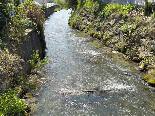 Tranquil stream flowing through rocky green landscape on a sunny day.