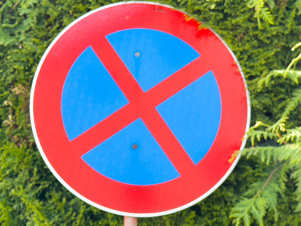 istock Red and blue no parking sign against lush greenery 2212371975