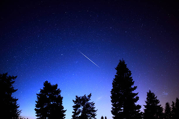 istock Milky Way stars with meteor shower trails and scountryside tree 2212373443