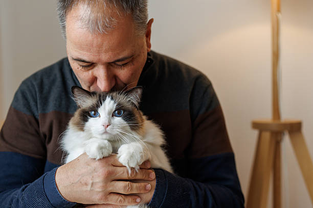 I am the most beloved cat in the world