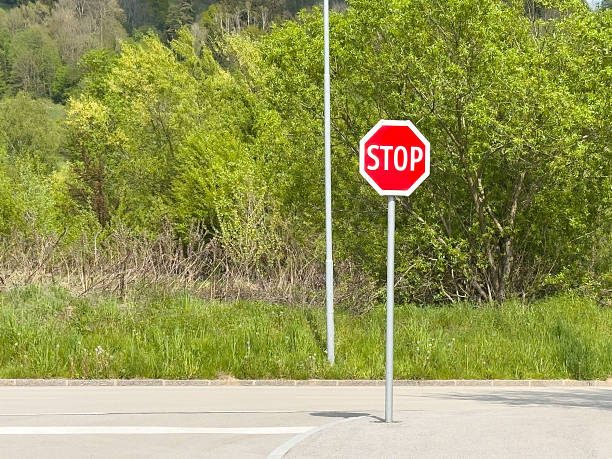 istock Isolated stop sign on peaceful countryside road against green forest backdrop 2212380324