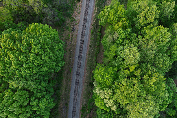 istock Top down view of railroad tracks surrounded by dense tree growth 2212389549