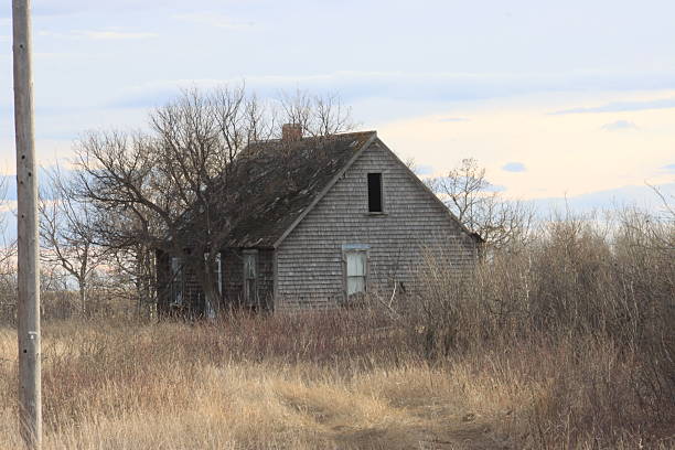 During my time in Grande Prairie, AB, I loved exploring the historic farm land. Each place I discovered told a compelling story based off imagery & energy alone. Travel back in time with me and enjoy these captures of architecture & places that once were.