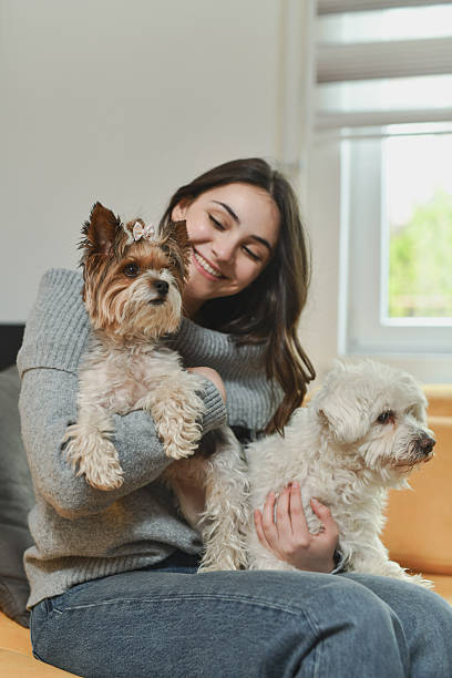 istock Smiling Female Embracing Two Playful Puppies While Relaxing Indoors 2212392444