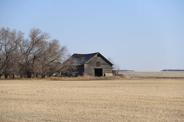 During my time in Grande Prairie, AB, I loved exploring the historic farm land. Each place I discovered told a compelling story based off imagery & energy alone. Travel back in time with me and enjoy these captures of architecture & places that once were.