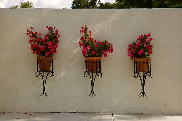 Floral park
