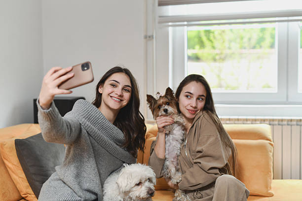 istock Smiling Females Capturing Selfie With Their Cute Small Dogs While Embracing Them 2212400776