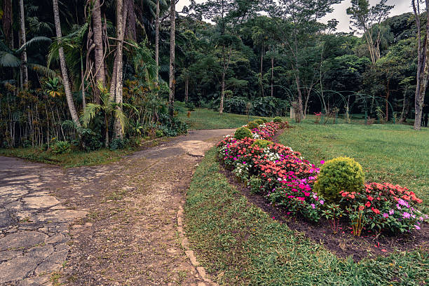 Jardim Botanic Garden, in Sao Paulo, Brazil.