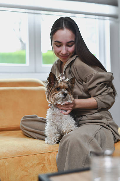 istock Female Sitting on Sofa And Petting Her Cute Yorkshire Terrier 2212401228