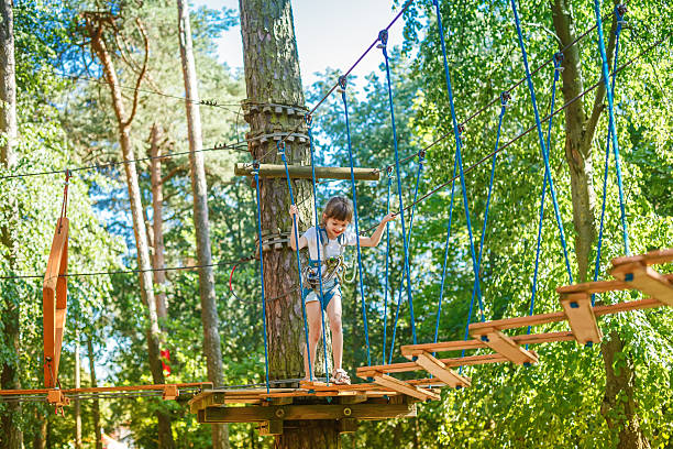istock Young child confidently navigates a challenging suspended obstacle course in a lush forest setting 2212401922