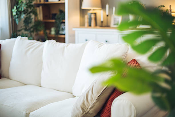 istock Comfortable white sofa with cushions in a bright living room with plants 2212402068