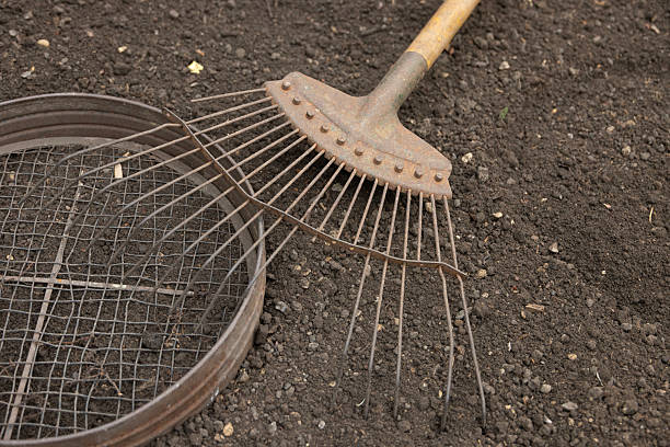 Old rake and soil sieve sitting on a new raised bed in a garden plot ready for home grown vegetables to be planted