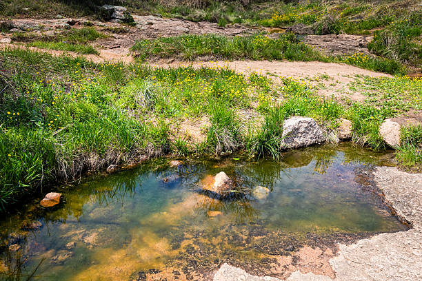 istock Spring Wildflowers and Clear Creek at Enchanted Rock, Texas 2212404340