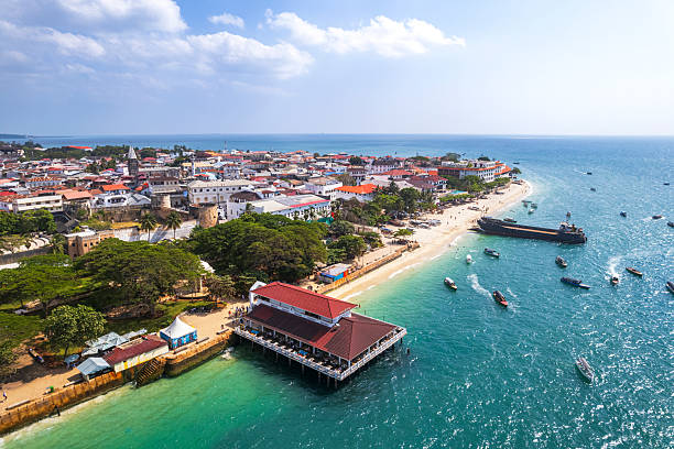 Rooftops of Stone Town with traditional buildings and historical monuments by the sea, UNESCO world heritage site, Zanzibar, Tanzania, Indian Ocean, Africa