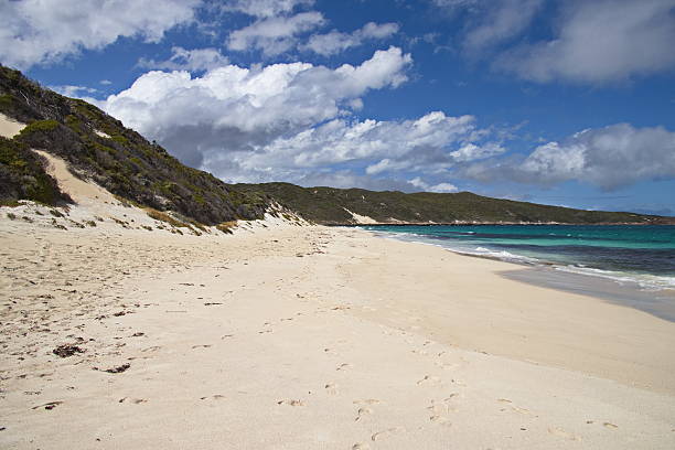 istock Sandy beach at Cosy Corner at Augusta, Western Australia, Australia 2212412069