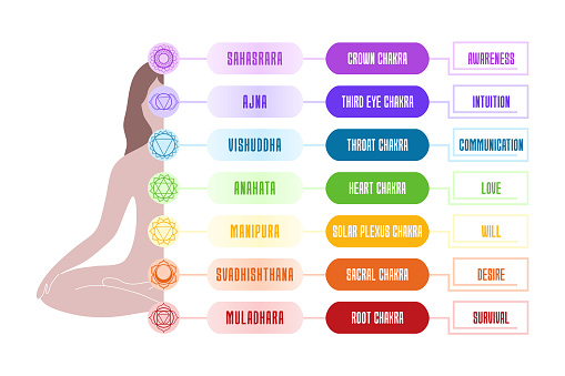 Chakra Color Cod Color Coded Chakra Chart On Meditating Womans Body Stock Illustration ...