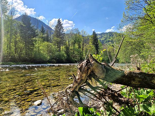 istock Ruhpolding Bavaria / Bavaria in spring - river Traun 2212422295