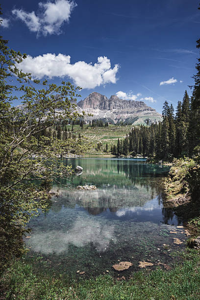 istock Lake Carezza - Karersee in summer 2212425844