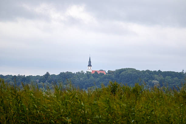 A landscape with a grassy foreground, behind which green trees spread out, and in the background a building with a pointed, light tower and a red roof under a cloudy sky.