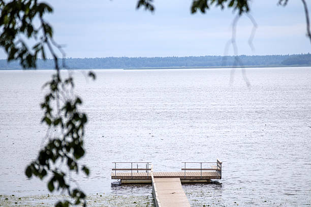 istock .a wooden pier stretching into calm water, with a small platform at the end and blurred tree branches in the foreground under a cloudy sky. 2212433739
