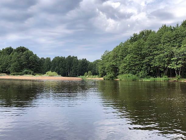 istock river landscape in cloudy weather, green forest 2212434507