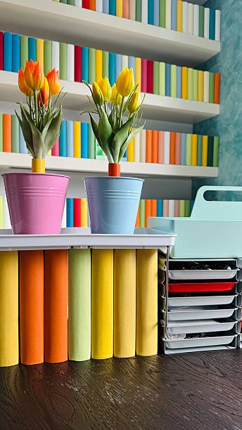 Bookshelves packed with colorful dummy books