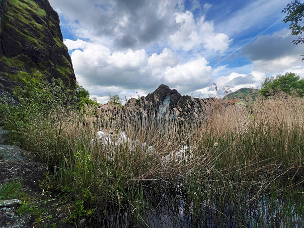 Natural wonder featuring rugged rocks reflected in the water, accompanied by reeds and lush greenery under a dynamic sky of blue and white.