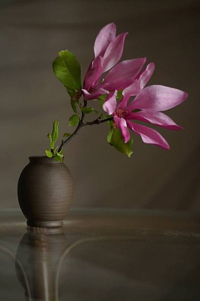 istock Pink magnolia flowers in a vase 2212437469