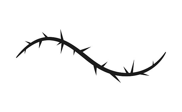 Barbwire gothic design element, thorny wavy black line, vector barb curly stripe, torn stem, vine plant with spikes Barbwire gothic design element. Thorny wavy black line vector flat illustration. Barb curly stripe silhouette. Vine plant with spikes. Sharp fence, creepy torn stem. Horror pattern thorn wreath stock illustrations
